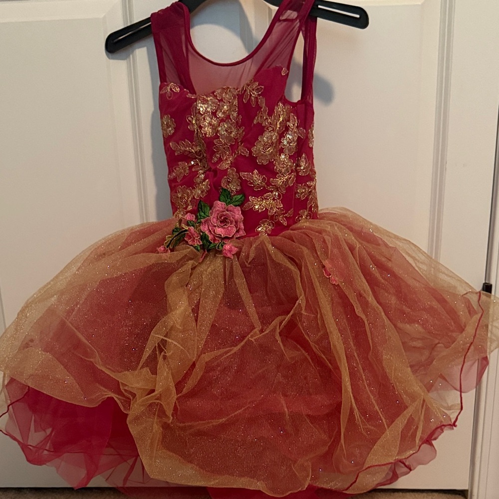Revolution Gold and Red Kids Dance Costume